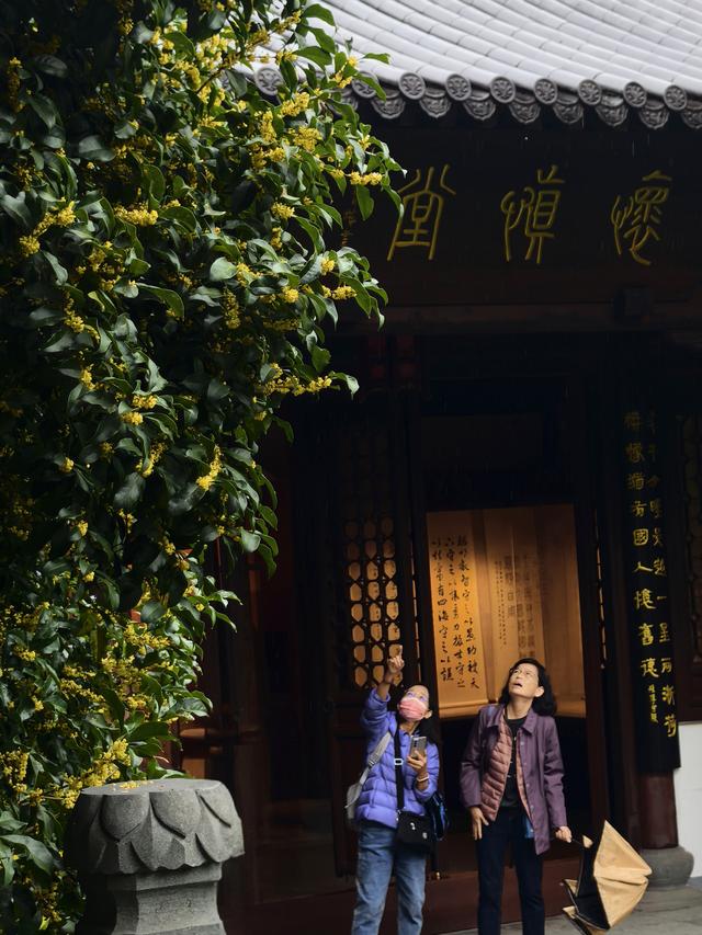 晚潮｜苏堤夜月与钱祠香雨