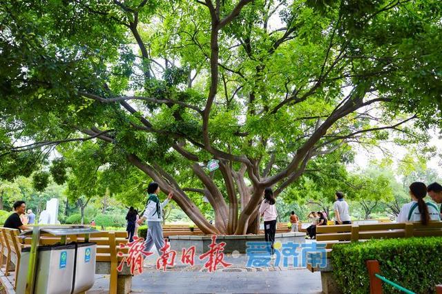 一年四季 泉在济南丨微风不燥秋意浓，泉城公园开启市民休闲露营模式