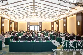 襄阳市中心医院成功举办第五届隆中影像论坛图片