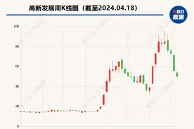 筹划推进半年多后  高新发展重大资产重组可能终止或变更方案图片