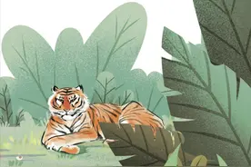 遇到老虎怎么办？这份防范指导手册请查收图片