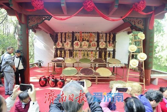 重阳登高正当时！千佛山人潮涌动，山会市集好热闹