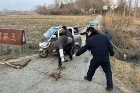 车辆掉入沟渠，警民合力助脱困图片