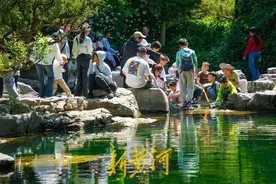 “五一”首日，山东200家旅游景区共接待游客395.5万人次、实现营收2.5亿元图片