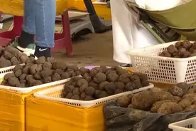 每公斤一百到七百元不等，这种美味在昆明市场大量上市！图片
