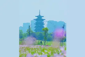 准爸妈的春日能量场！相约洋湖一起孕动吧图片