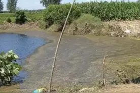 改判死刑！男子强奸未遂致女生溺亡案宣判图片