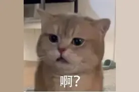 地铁为什么没到终点站就停下了？原来是因为……图片