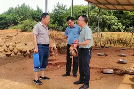 将乡村振兴论文写在家乡大地上，汨罗市这所学校帮助村民走上致富路图片