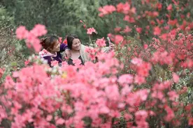 最是一年春好处#图片