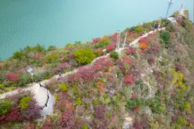 巫山：这里有群“彩色的山”图片