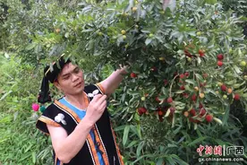 横州市南乡镇：以“梅”为媒 农文旅融合激发乡村振兴活力图片