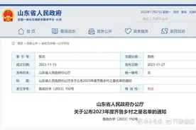 794人上榜！2023年度齐鲁乡村之星名单公布图片