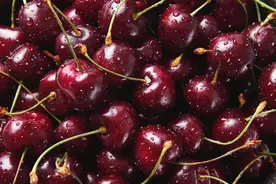 “大白”的宝舱里还有多少“宝贝”是你不知道的图片