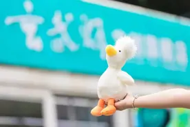 江苏一市公积金调整图片