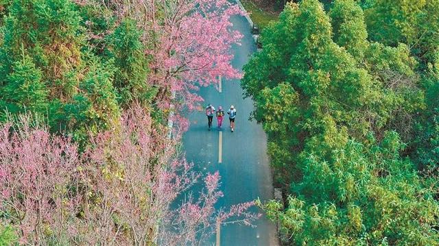 德宏州2025年度十佳户外运动精品项目之四 勐秀山：藏在瑞丽的“美丽秘境”
