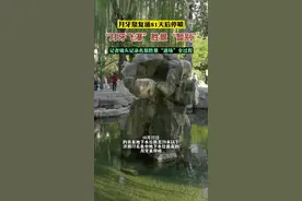 月牙泉复涌81天后停喷，“月牙飞瀑”胜景“暂别”。记者镜头记录“退场”全过程。图片