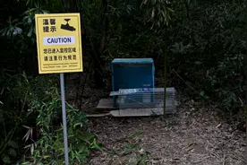 流浪猫“野蛮生长”？上海嘉定试水“TNR项目”图片