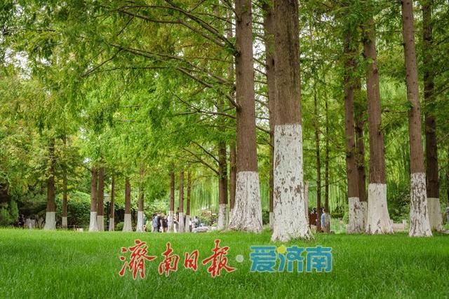 一年四季 泉在济南丨济南五龙潭公园：初秋园林韵，雅致入画来
