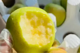 青森苹果，好吃到爆单，你没吃过！咬一口空气都是甜甜的图片