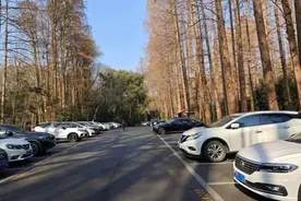 元旦假期，西湖景区停车收费有调整图片