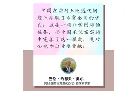 三大国际机构点赞我国沙漠治理成果图片