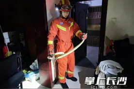 当心！床尾、办公区域有蛇出没……图片