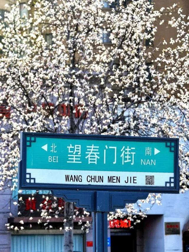 不愧是洛阳，连街名都是“细糠”！