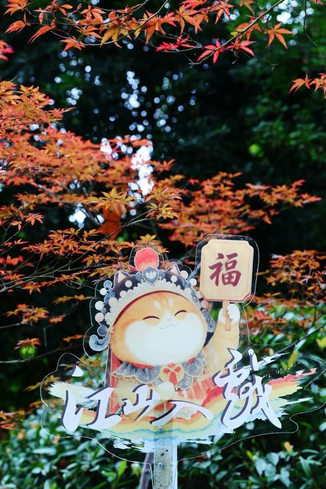 6号线！赶紧和栖霞山“奔现”吧！！