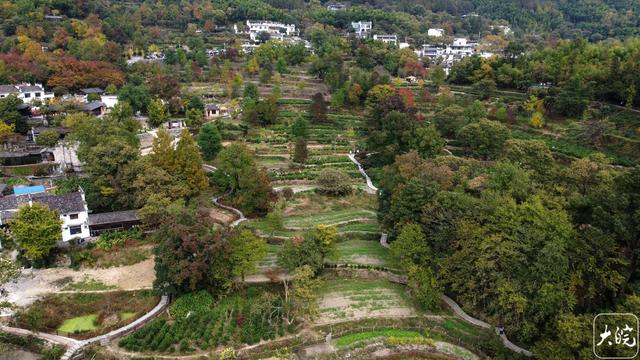 安徽黟县：斑斓塔川惹人醉