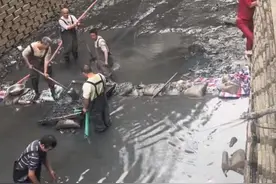 新版“疯狂的石头”：一场“天价翡翠”打捞引发的流量狂欢图片