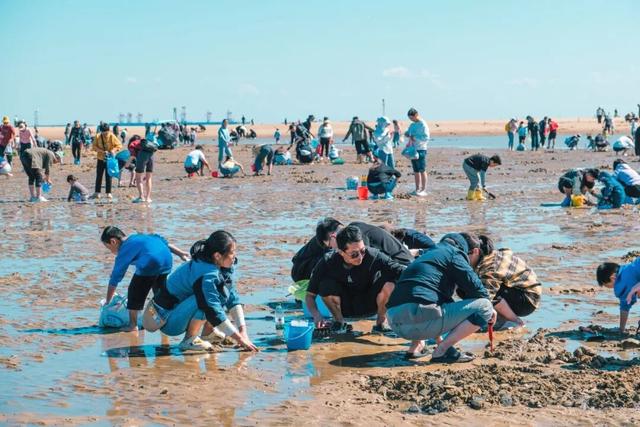 这个五一，去刘家湾赶一场“潮”——万亩滩涂已备好，只差一个挽起裤脚的你