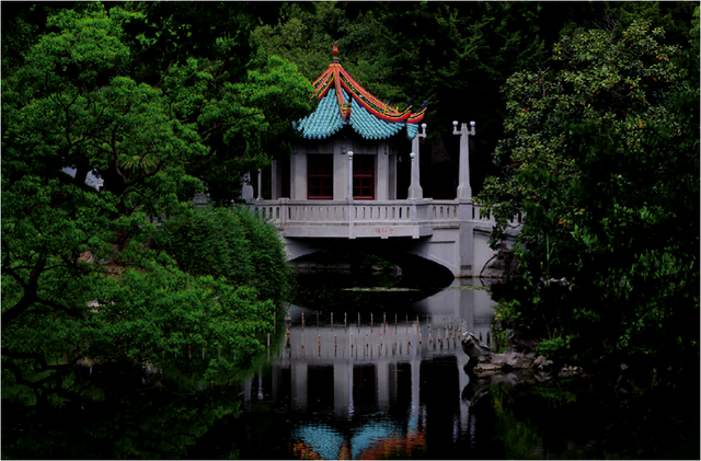 揭秘！上海人也未必知道的上海绝美花园，每个都太传奇→