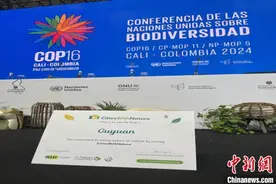 宁夏固原入选联合国“自然城市”名单图片