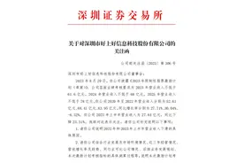V观财报｜好上好激励计划考核仅设营收指标，深交所：存在利益输送？图片