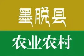 人民日报刊发 | 西藏墨脱县：“稻渔”和“有机”齐发力 拓宽群众增收新“稻”路图片