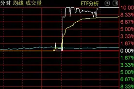 一天收益10%！货币型ETF竟也直线拉升涨停，发生了什么？图片