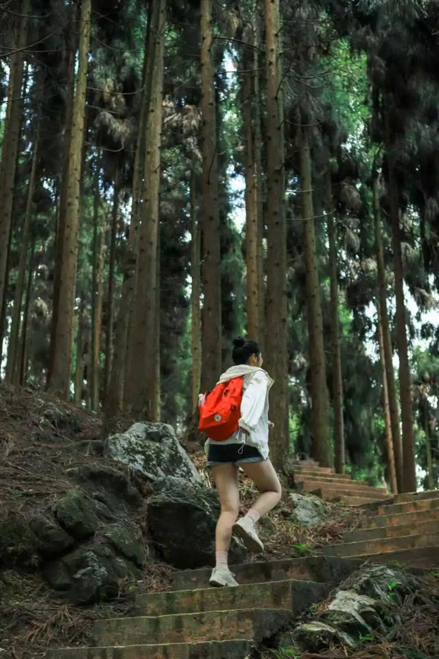 不搞虚的！宠粉天花板还得是龙门山！（文末有福利）