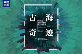 一场穿越时空的生命之旅 澄江化石首次进京展出图片