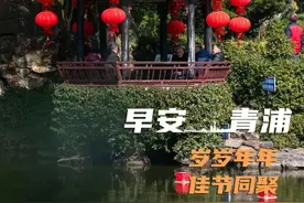 早安青浦丨岁岁年年，佳节同聚图片