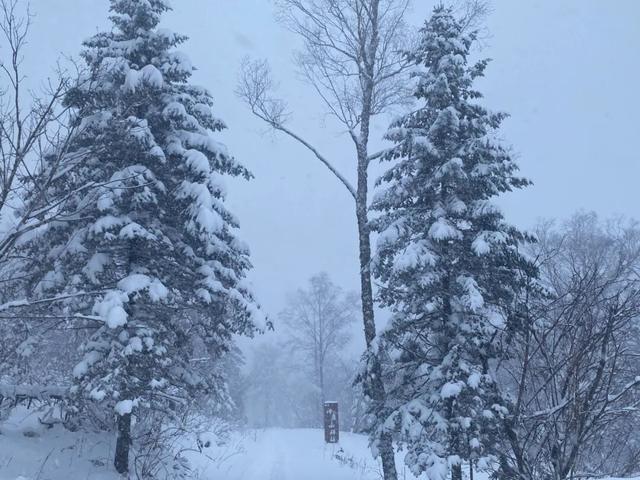 等一场雪，念一座城！敦化冬景如画