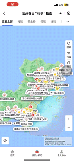 温州人快冲！第一波春花都开好啦！图片