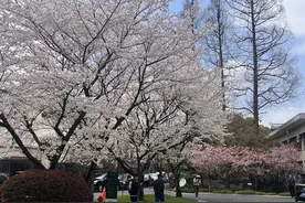 一觉醒来，眼睛突然肿成“桃子”！医生提醒，该病正迎来高发期图片