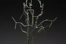 央媒看四川｜神话故事里的“扶桑”树找到了图片