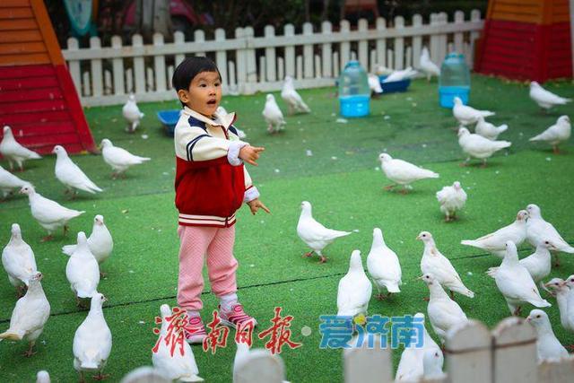 一年四季 泉在济南丨暮色唤活力 老商埠里漾新声