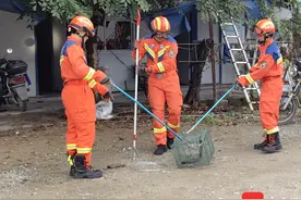 保亭一水泥店里眼镜蛇出没！还吐着长长的信子…图片