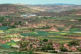 【甘快看·秦文化在甘肃的历史印记之十】马家塬遗址：见证千年前的西戎战车呼啸而过图片