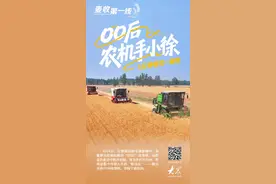 麦收第一线丨“00后”农机手小徐：5分钟收完一亩地图片
