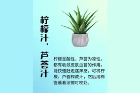蚊子包痒不停？试试这些家用止痒“黑科技”！图片