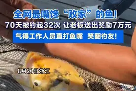 浙江一鱼塘用金鳙当彩头，谁钓到就送鱼竿！结果这鱼70天被钓32次！老板：亏了7万…图片